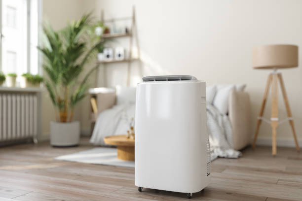 Best Local HVAC Companies  in Grapeland, TX